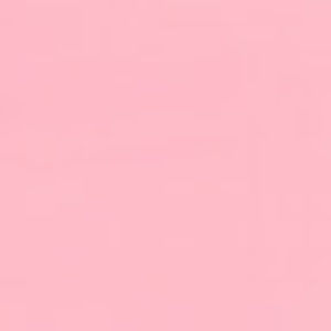 Meet your Posher, Camille